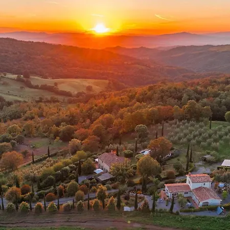 Podere San Regolo Scansano